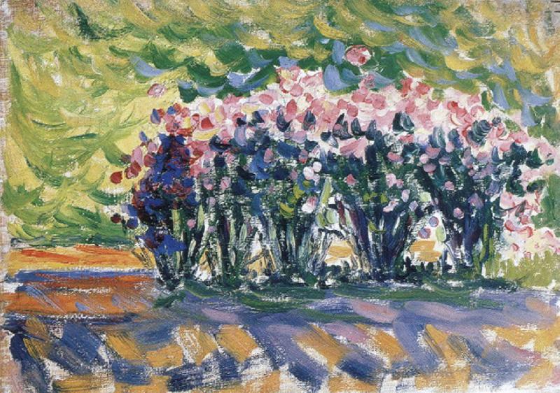 Paul Signac oleanders oil painting image
